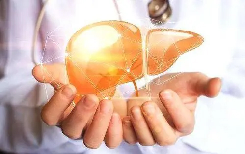 中医如何认识肿瘤肝脏转移？中医如何治疗肝转？有何重要意义？