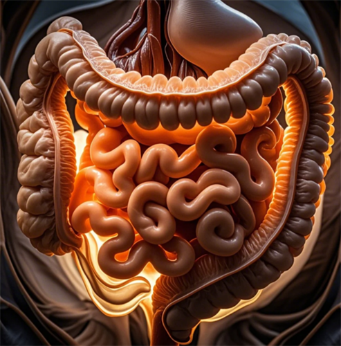 为什么肠癌一查就是晚期？成都普济中医邓文志主任为你解析