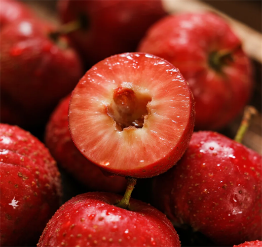 天热没胃口？肿瘤患者夏季饮食调理指南请查收！